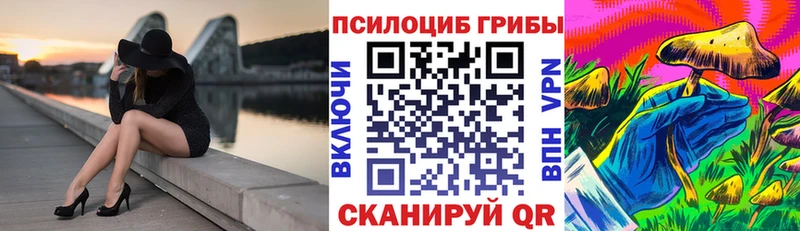 Псилоцибиновые грибы GOLDEN TEACHER Боровичи