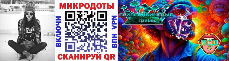 Купить закладки  Боровичи  Галлюциногенные грибы мицелий 